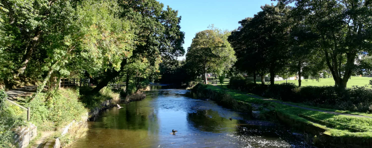 Aeron Valley river with trees on a sunny day