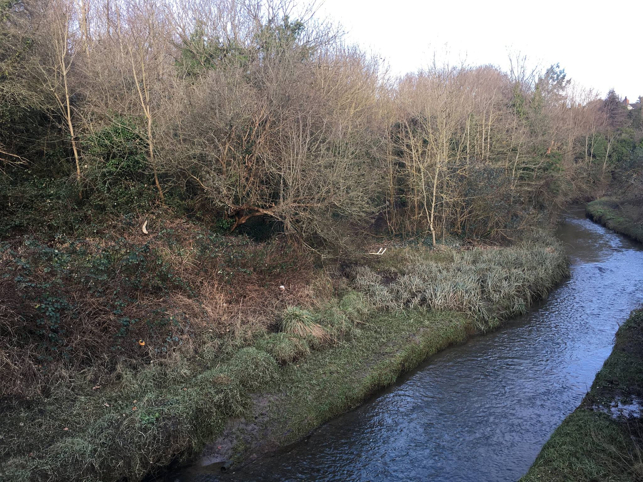 Young farmers tug of war
