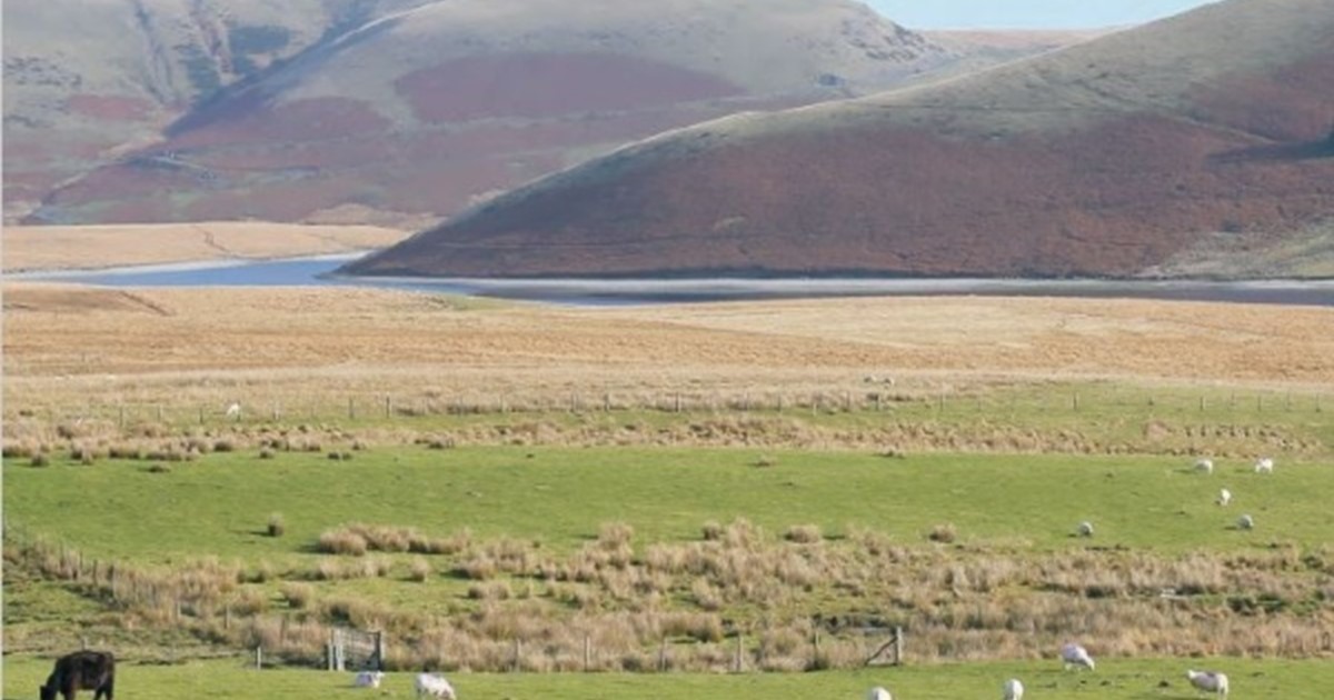 Pocket Guide to the Cambrian Mountains